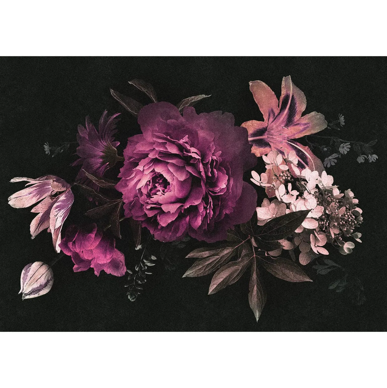 Fototapete Vlies Rose Blume rosa schwarz Premium