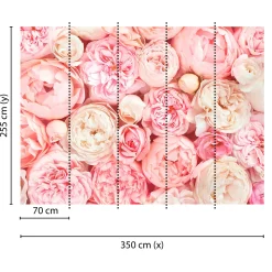 Fototapete Vlies Rosen Floral rosa creme Designwalls