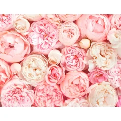 Fototapete Vlies Rosen Floral rosa creme Designwalls