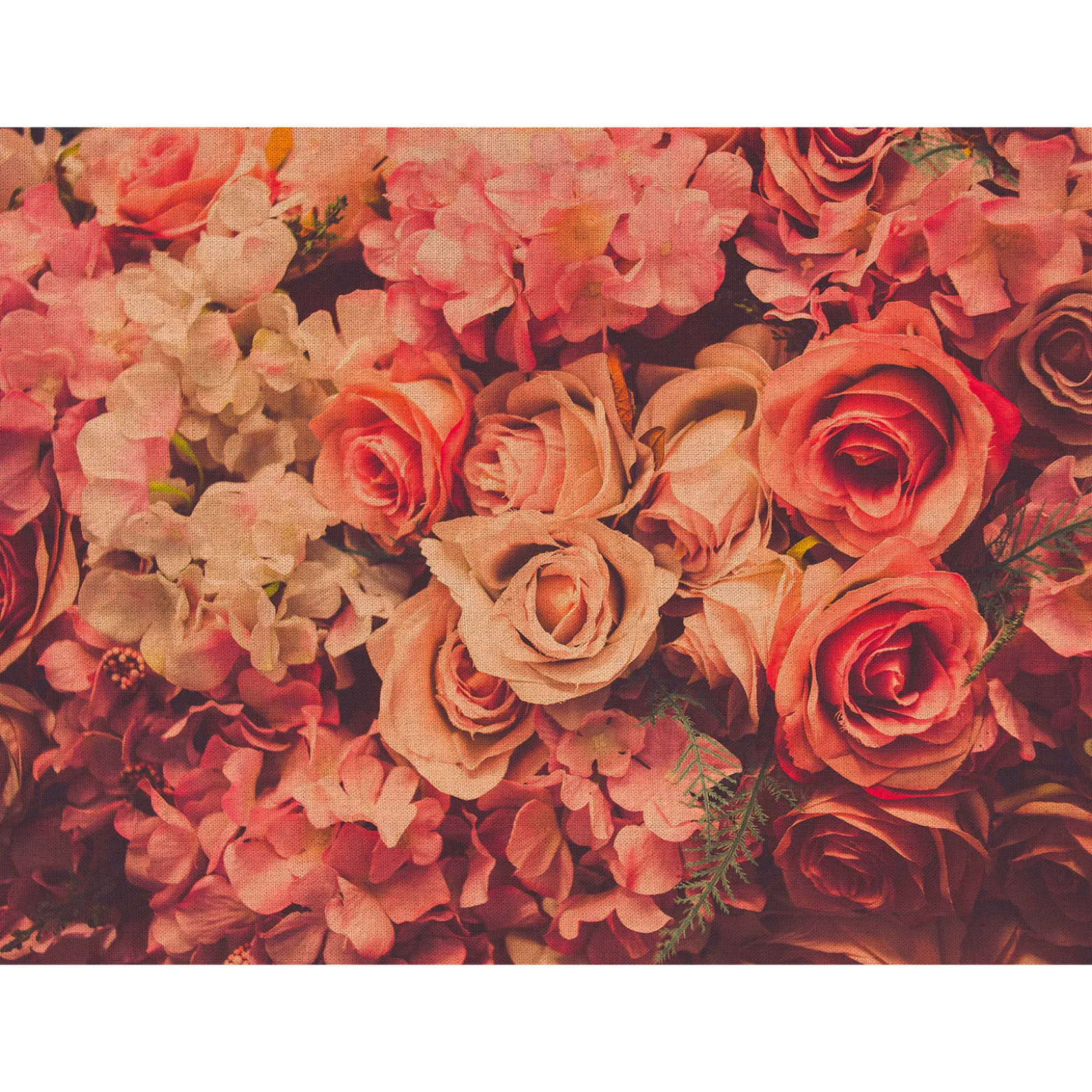 Fototapete Vlies Rosen Vintage Textil rot rosa creme