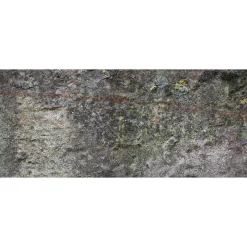 Fototapete Vlies Stein Moos Mauer grau grün