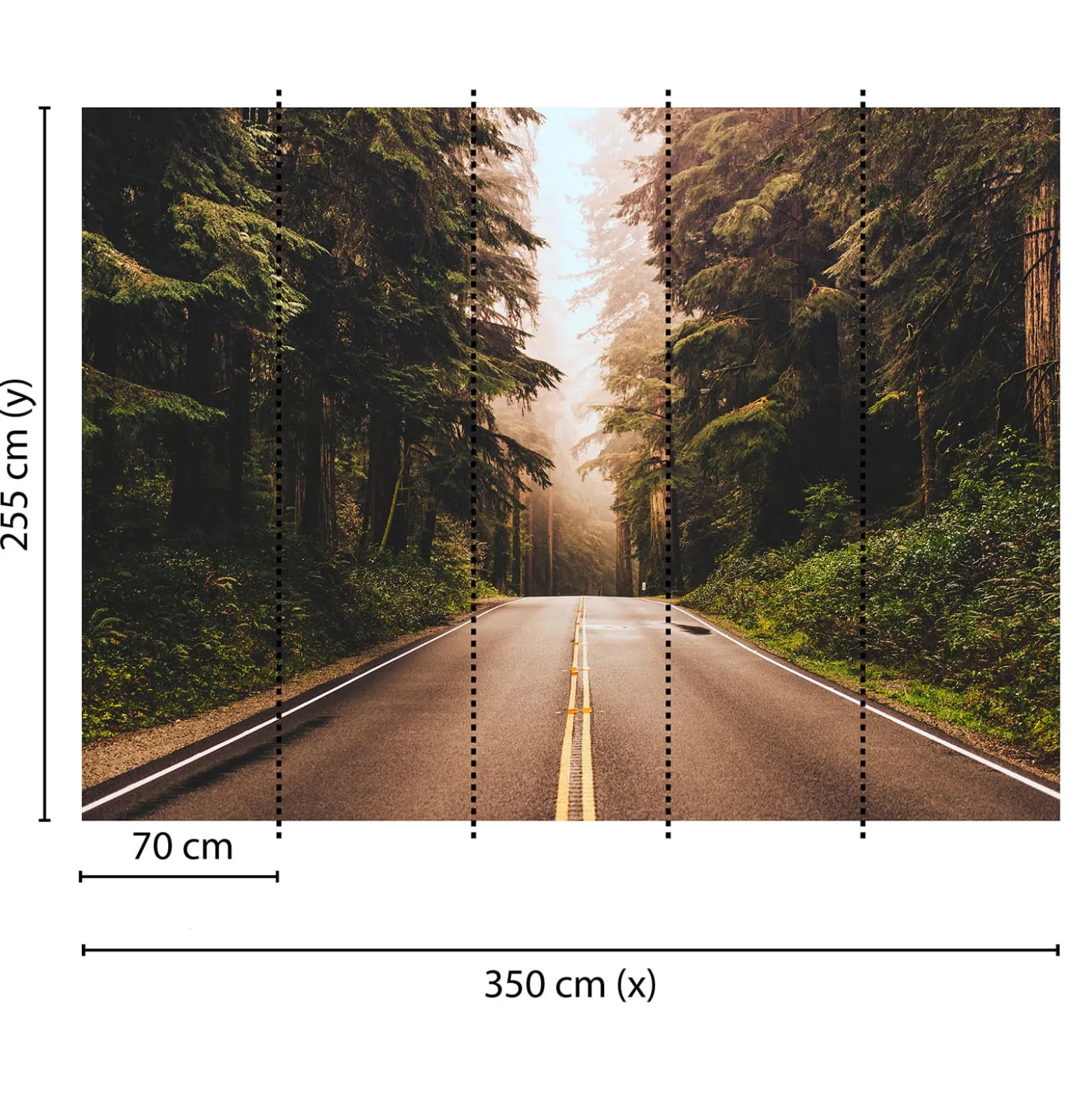 Fototapete Vlies Straße Wald Bäume grün braun