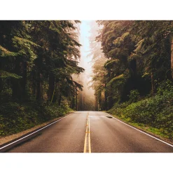 Fototapete Vlies Straße Wald Bäume grün braun