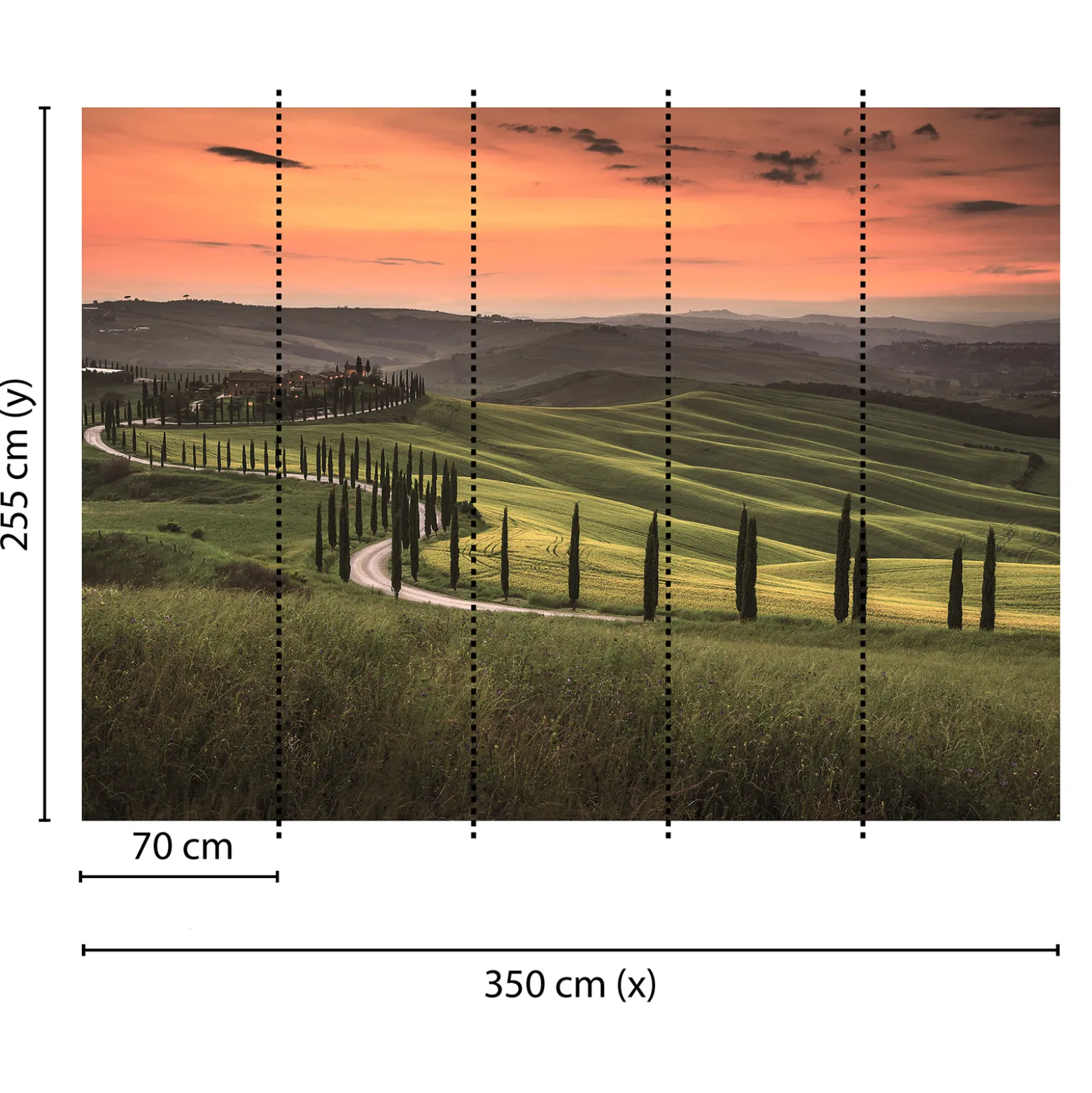 Fototapete Vlies Toskana Landschaft grün orange