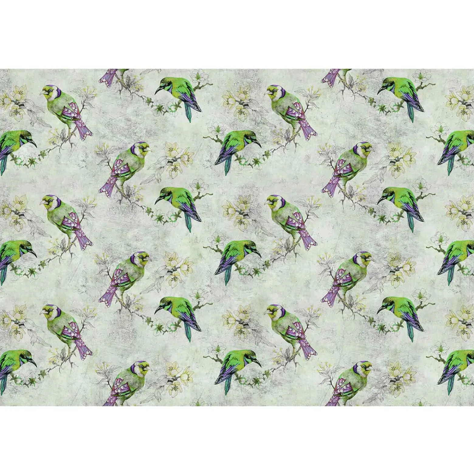 Fototapete Vlies Vögel Aquarell grau grün Premium