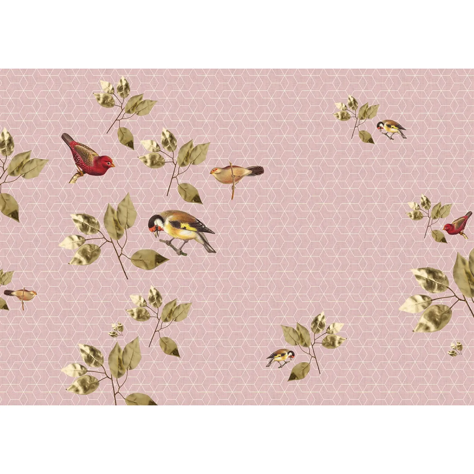 Fototapete Vlies Vögel Grafisch rosa grün Premium