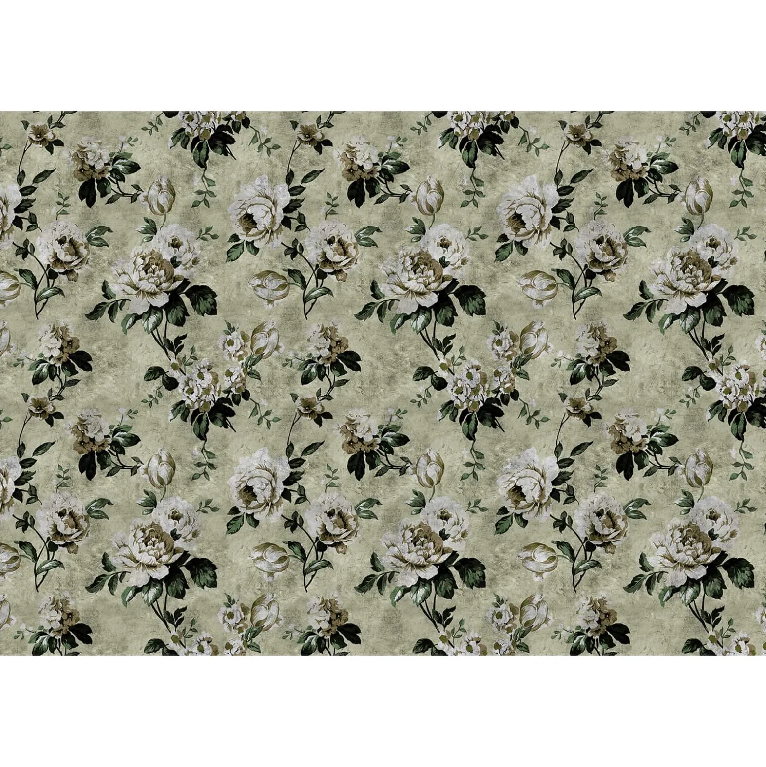Fototapete Vlies Vintage Rosen grün grau Premium