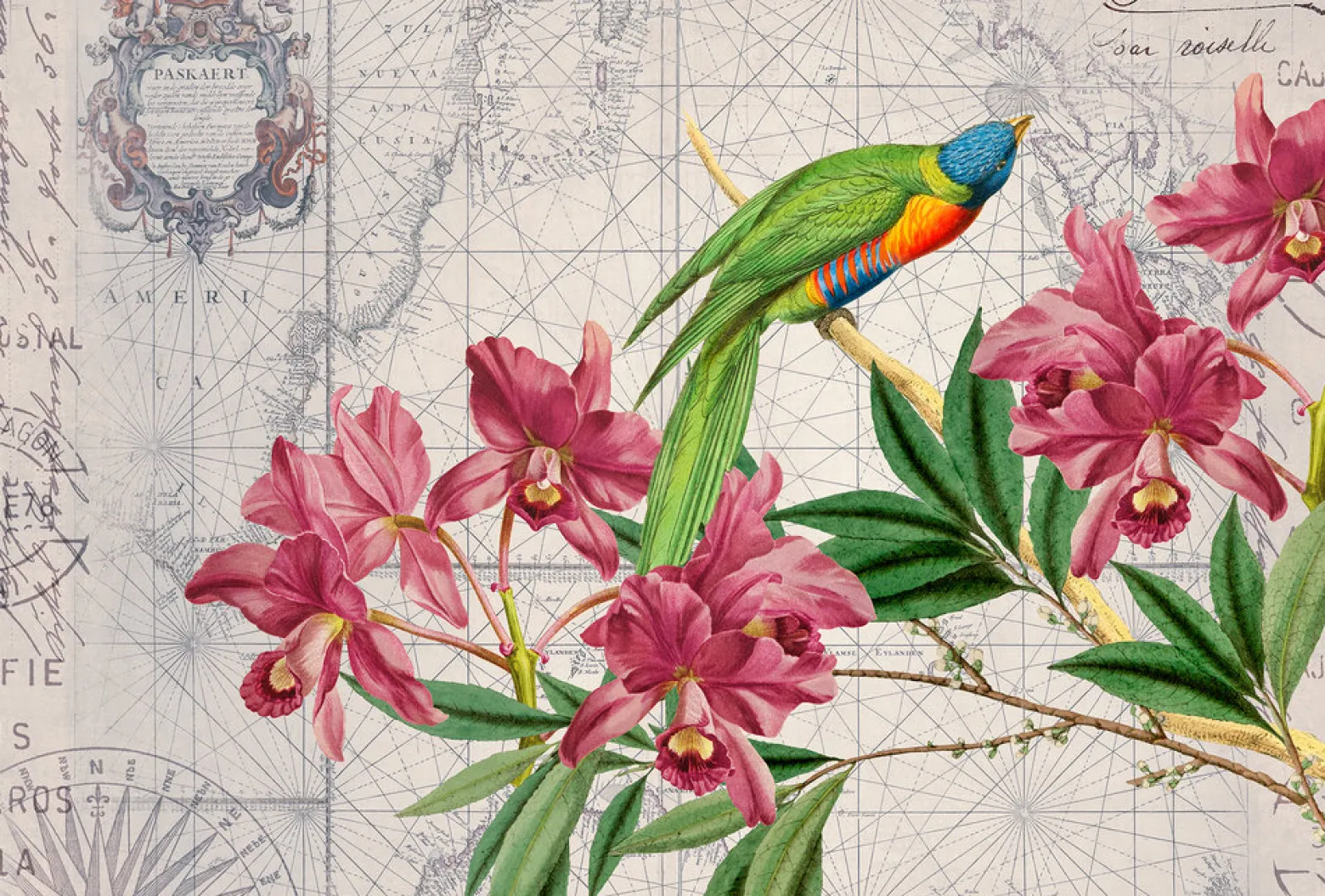 Fototapete Vlies Vogel Blüten grün rot grau
