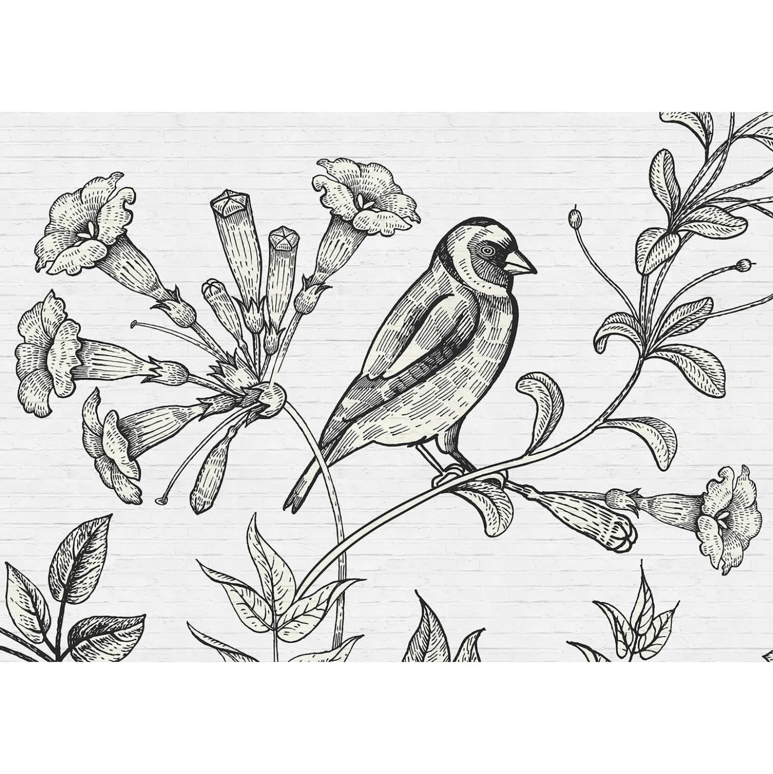 Fototapete Vlies Vogel Blumen Floral Stein grau Premium