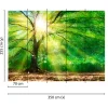 Fototapete Vlies Wald Baum Licht Sonne grün gelb braun