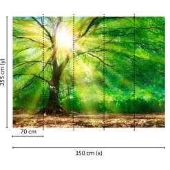Fototapete Vlies Wald Baum Licht Sonne grün gelb braun