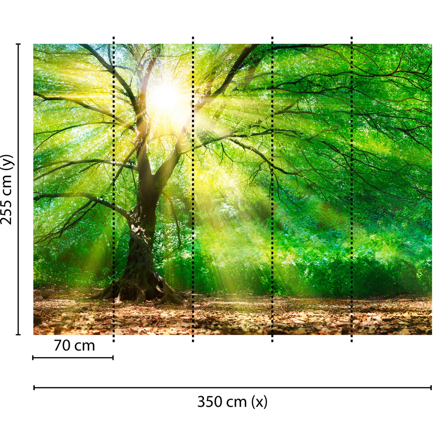 Fototapete Vlies Wald Baum Licht Sonne grün gelb braun