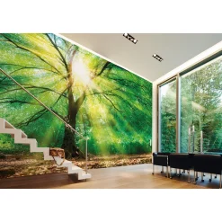 Fototapete Vlies Wald Baum Licht Sonne grün gelb braun