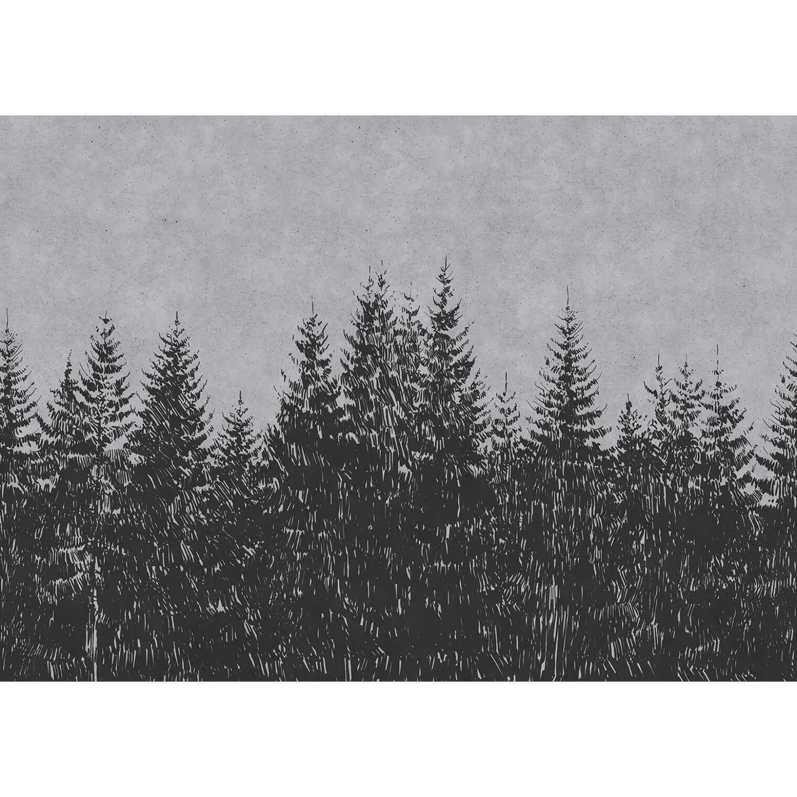 Fototapete Vlies Wald Bäume grau schwarz Premium
