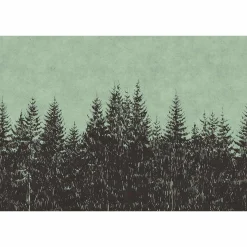 Fototapete Vlies Wald Bäume grün schwarz Premium