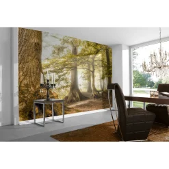 Fototapete Vlies Wald Laubbäume braun grün