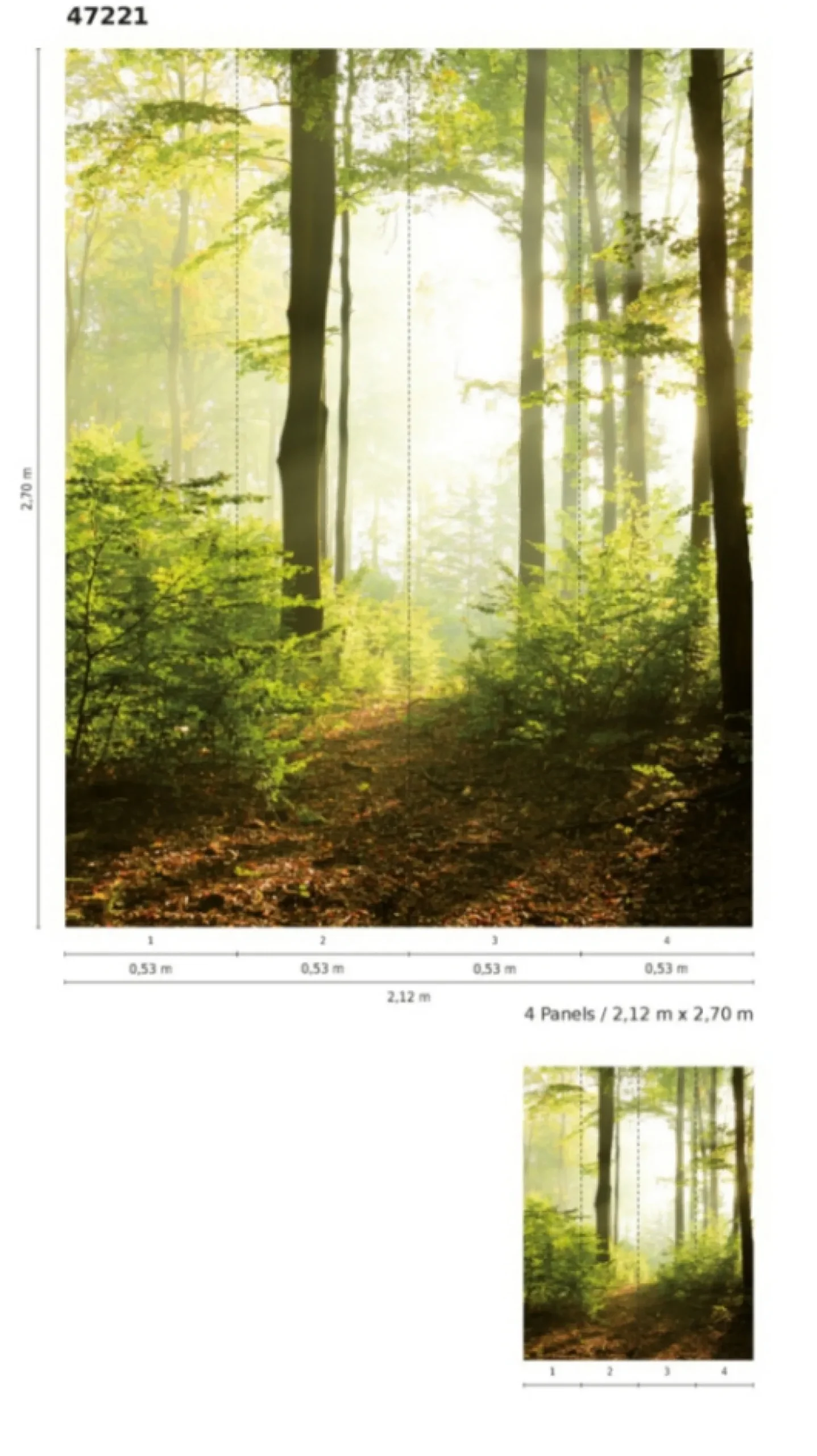 Fototapete Vlies Wald Lichtung Bäumen grün braun 47221