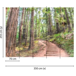 Fototapete Vlies Wald Treppe Weg grün braun Designwalls