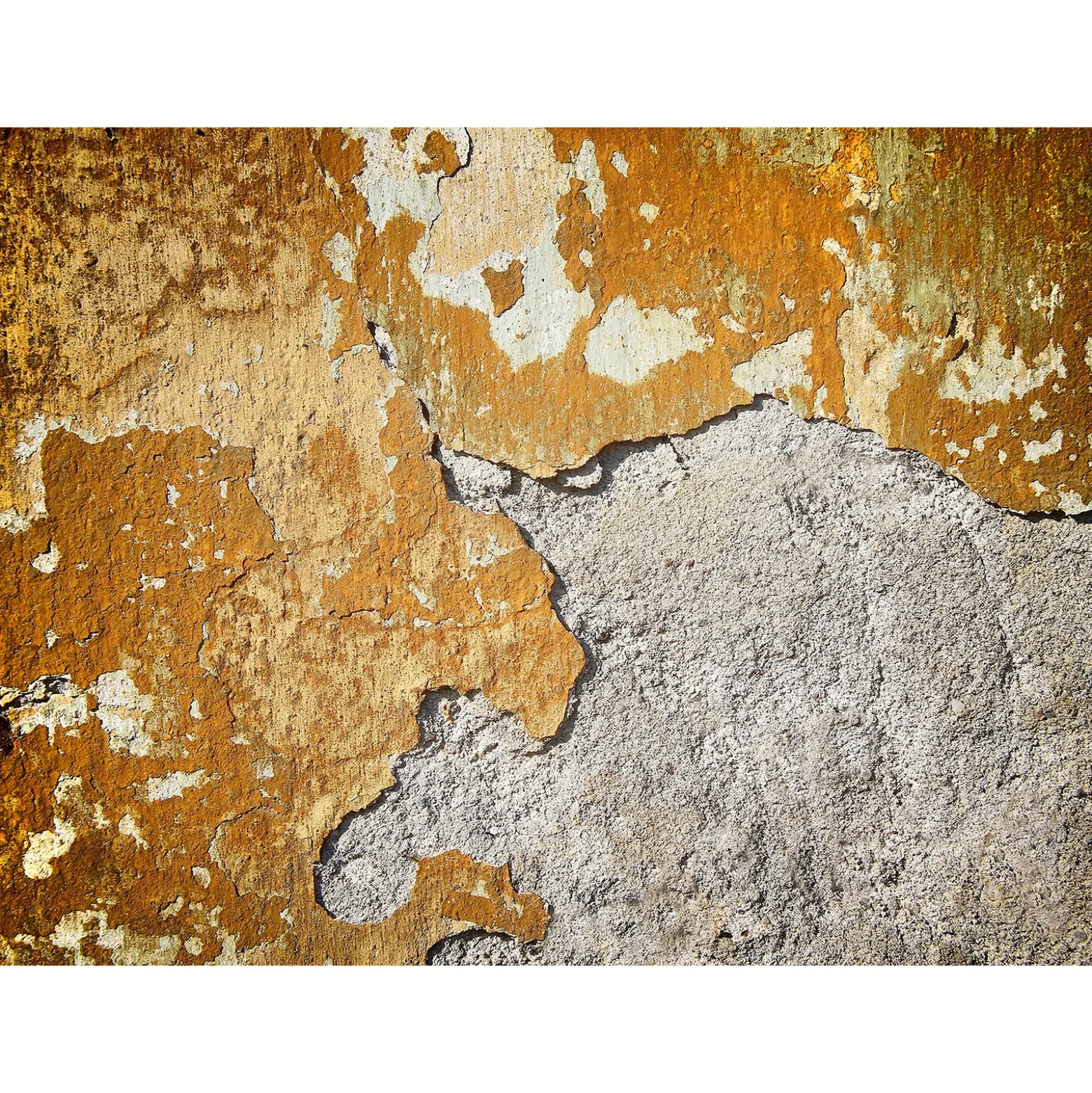 Fototapete Vlies Wand Mauer Verputzt braun grau