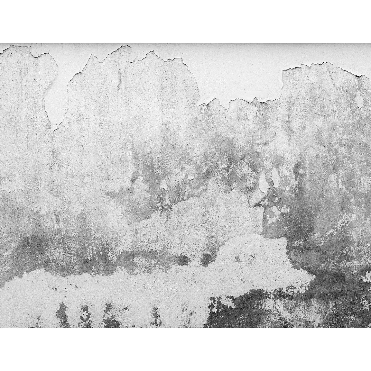 Fototapete Vlies Wand Putz Stein grau Designwalls