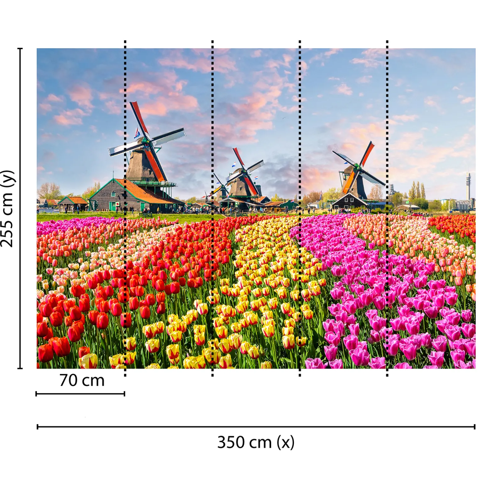 Fototapete Vlies Zaanse Schans Holland Tulpen gelb pink