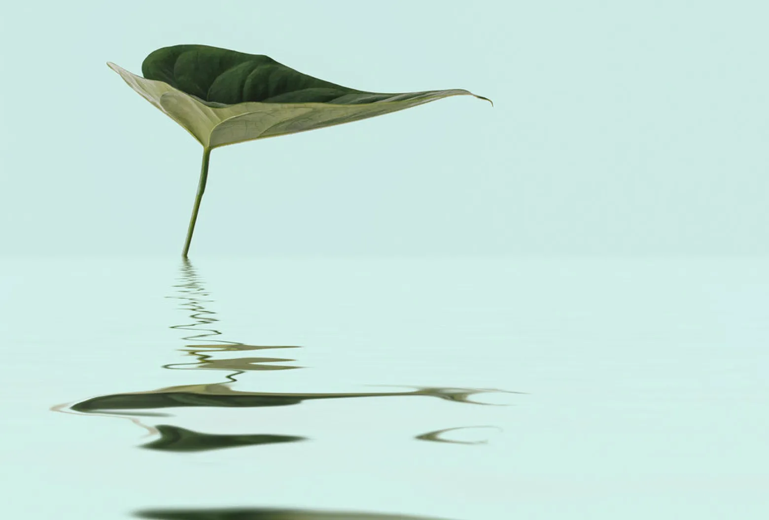 Fototapete Vlies Zen Wasser-Blatt blau grün