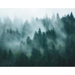 Fototapete Wald Bäume Nebel Grün Blau 39898-1