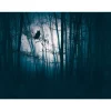 Fototapete Wald Eule Nacht Blau Schwarz 39909-1