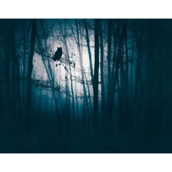 Fototapete Wald Eule Nacht Blau Schwarz 39909-1