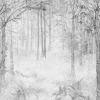 Fototapete Wald Natur Nebel Baum Grau Weiß ML2802