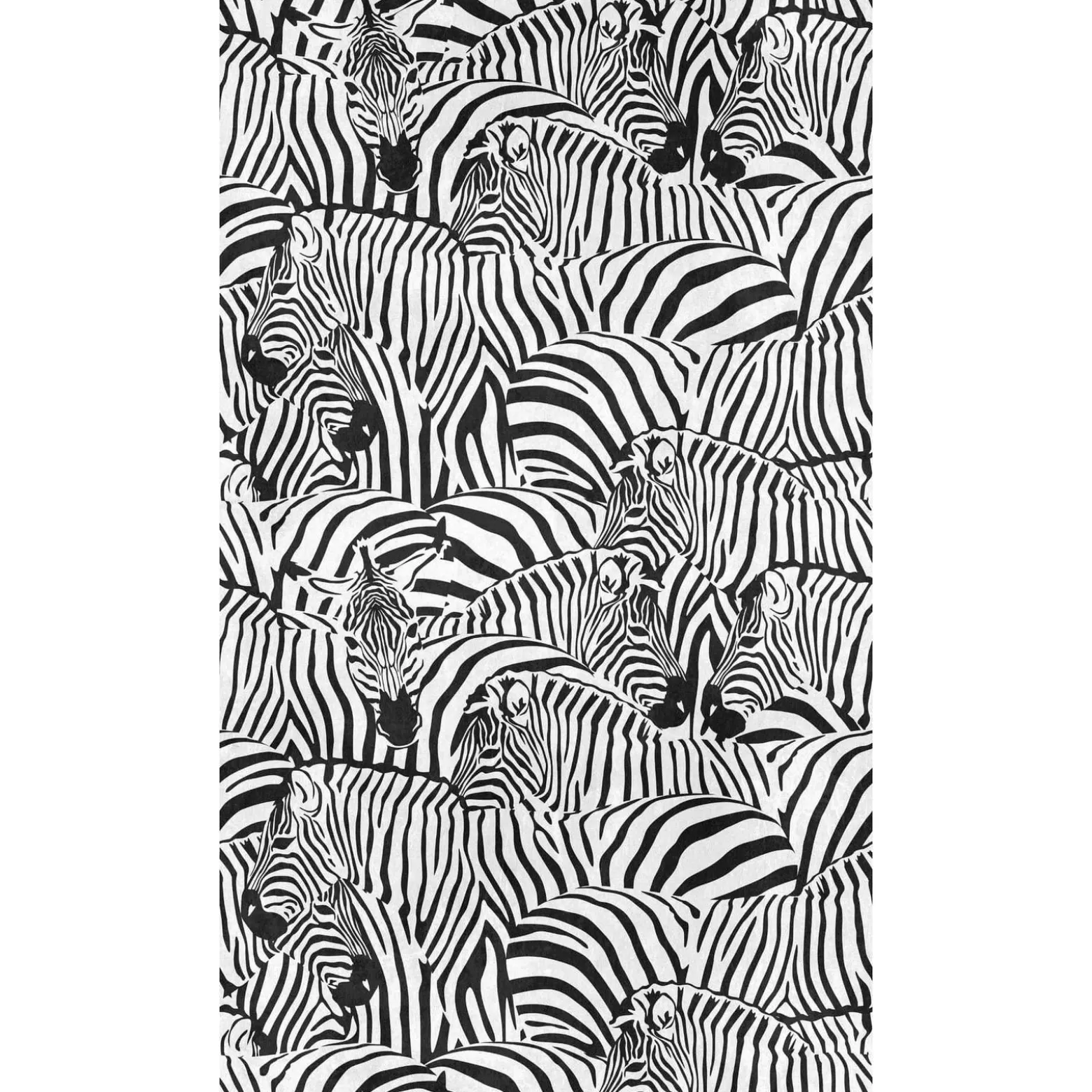 Fototapete Zebra Exotisch Schwarz Weiß 39873-1
