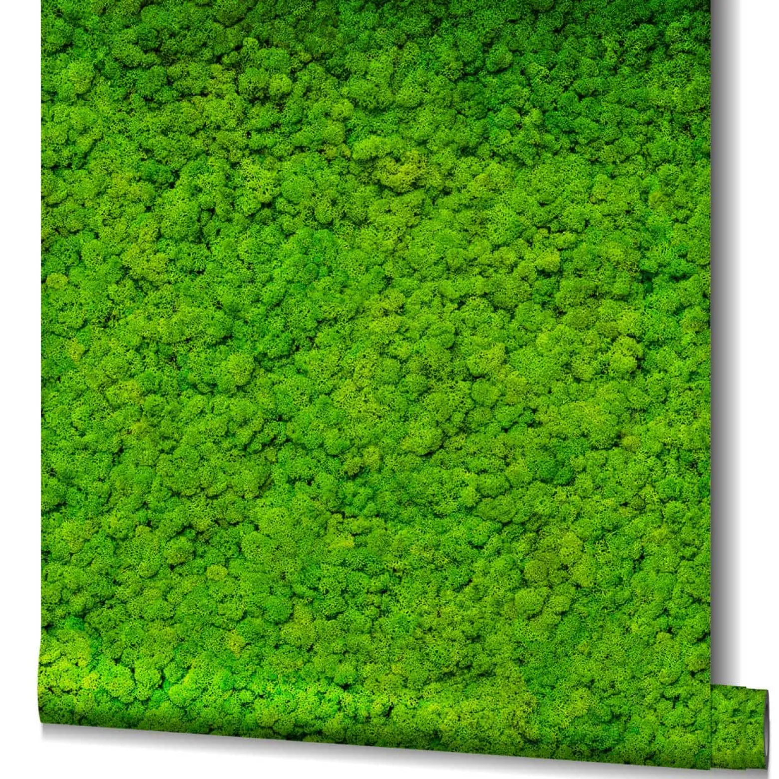 GZSZ Vliestapete Floral 3D-Optik Grün Gelb 34862