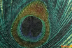 Harald Glööckler Tapeten Grün Blau Pfauenauge 52724