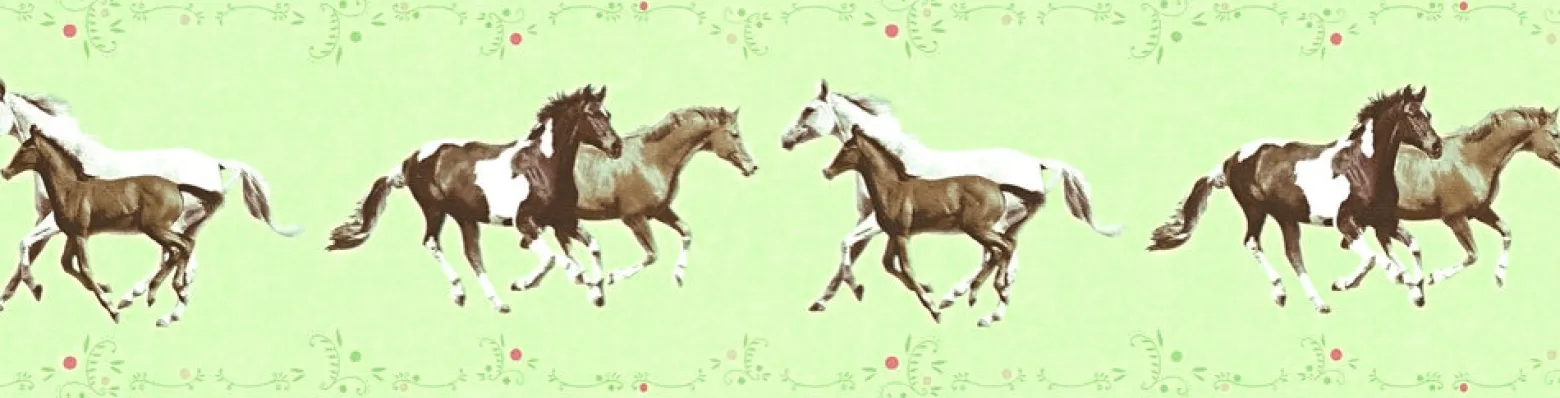 Kinder Bordüre Pferde Ponys grün braun 35838-1