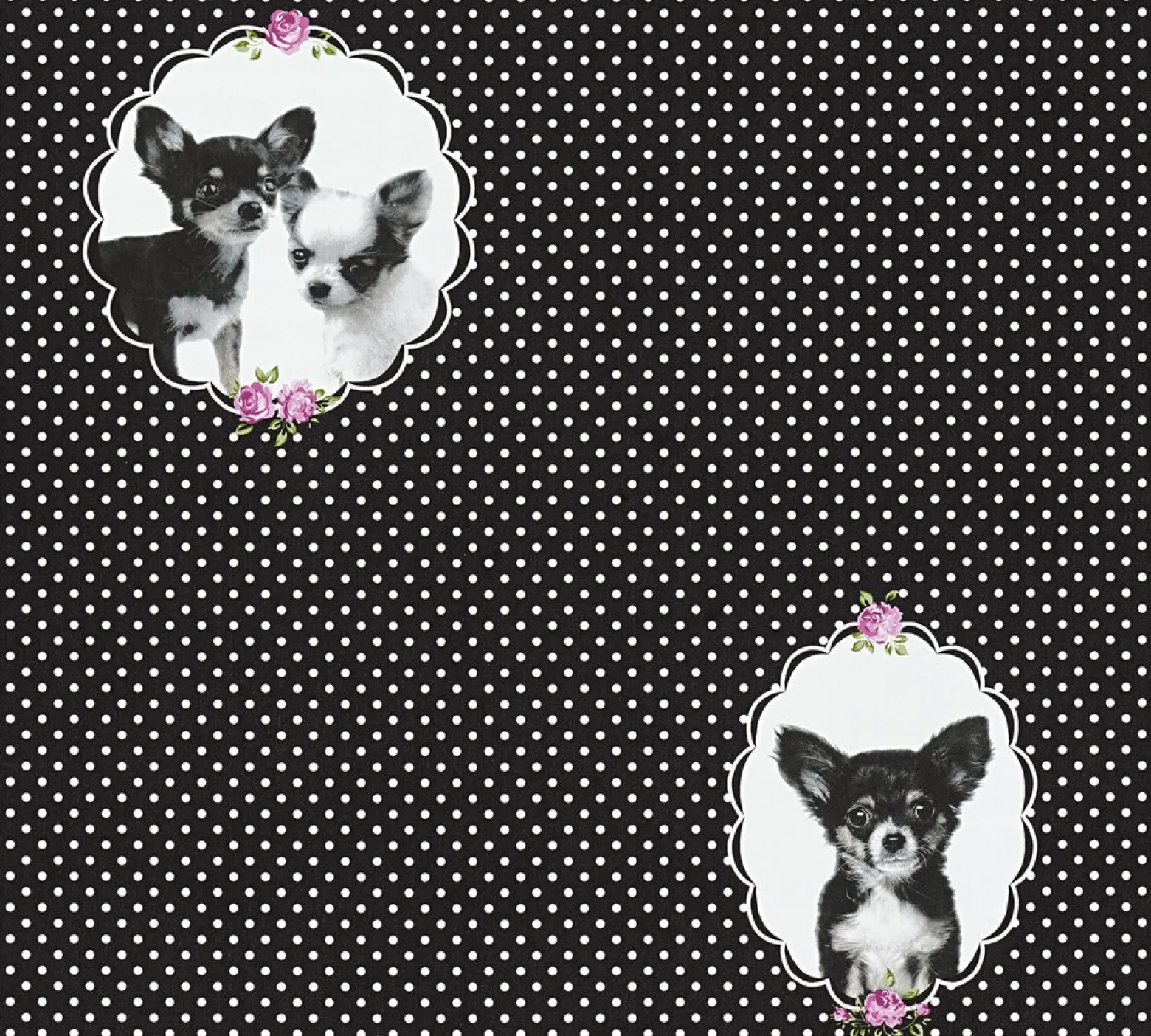 Kindertapete Chihuahua Hund schwarz weiß 35851-2