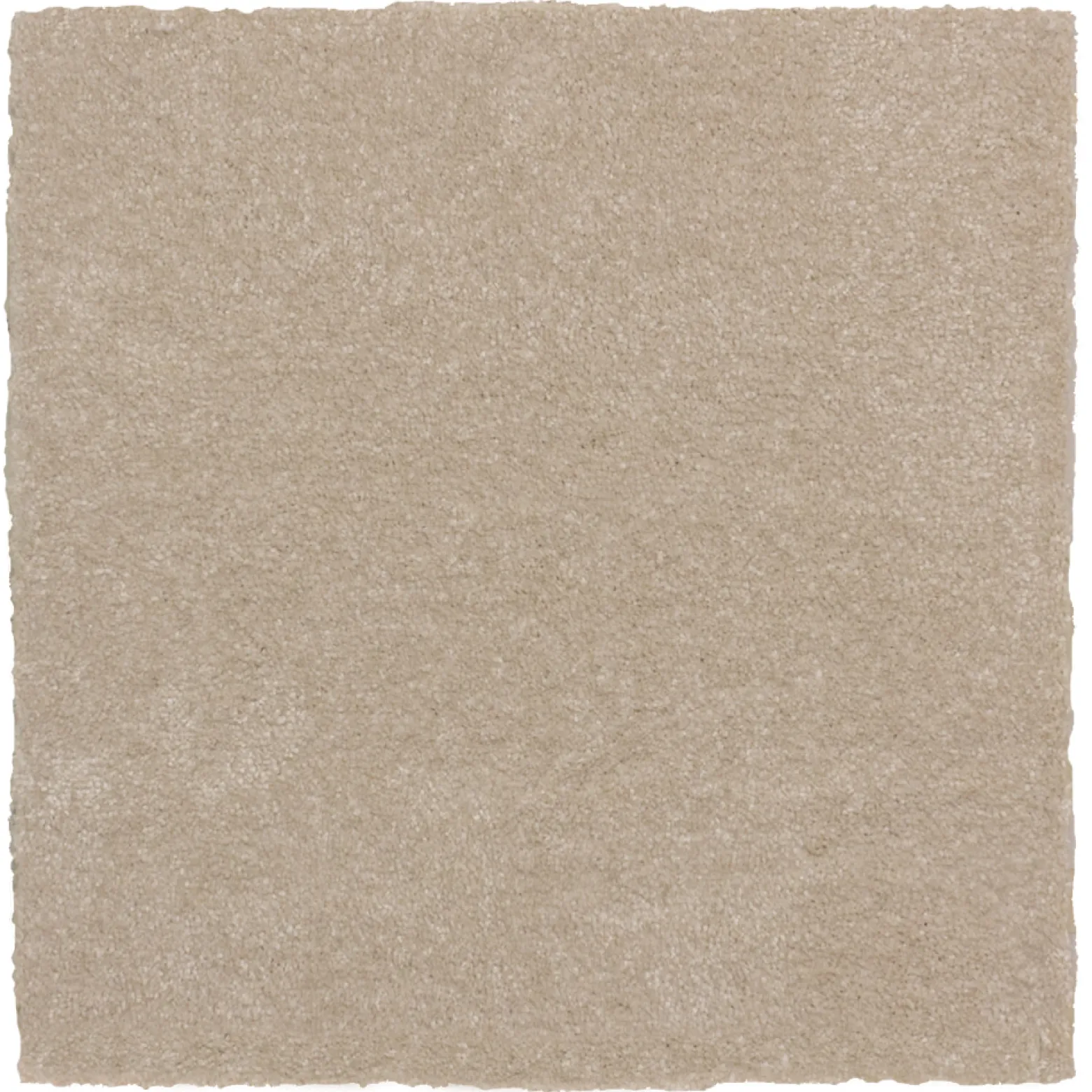 Luxus Qualitäts Teppichfliesen Velours Aristo 50x50