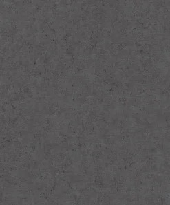 Rasch Concrete Tapete Betonoptik Anthrazit 520927
