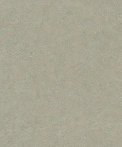Rasch Concrete Tapete Wischoptik Grüngrau 520279