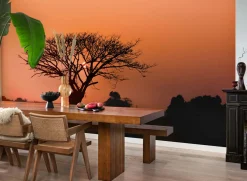 Rasch Fototapete Vlies Baum Afrika Orange Sonne 363647