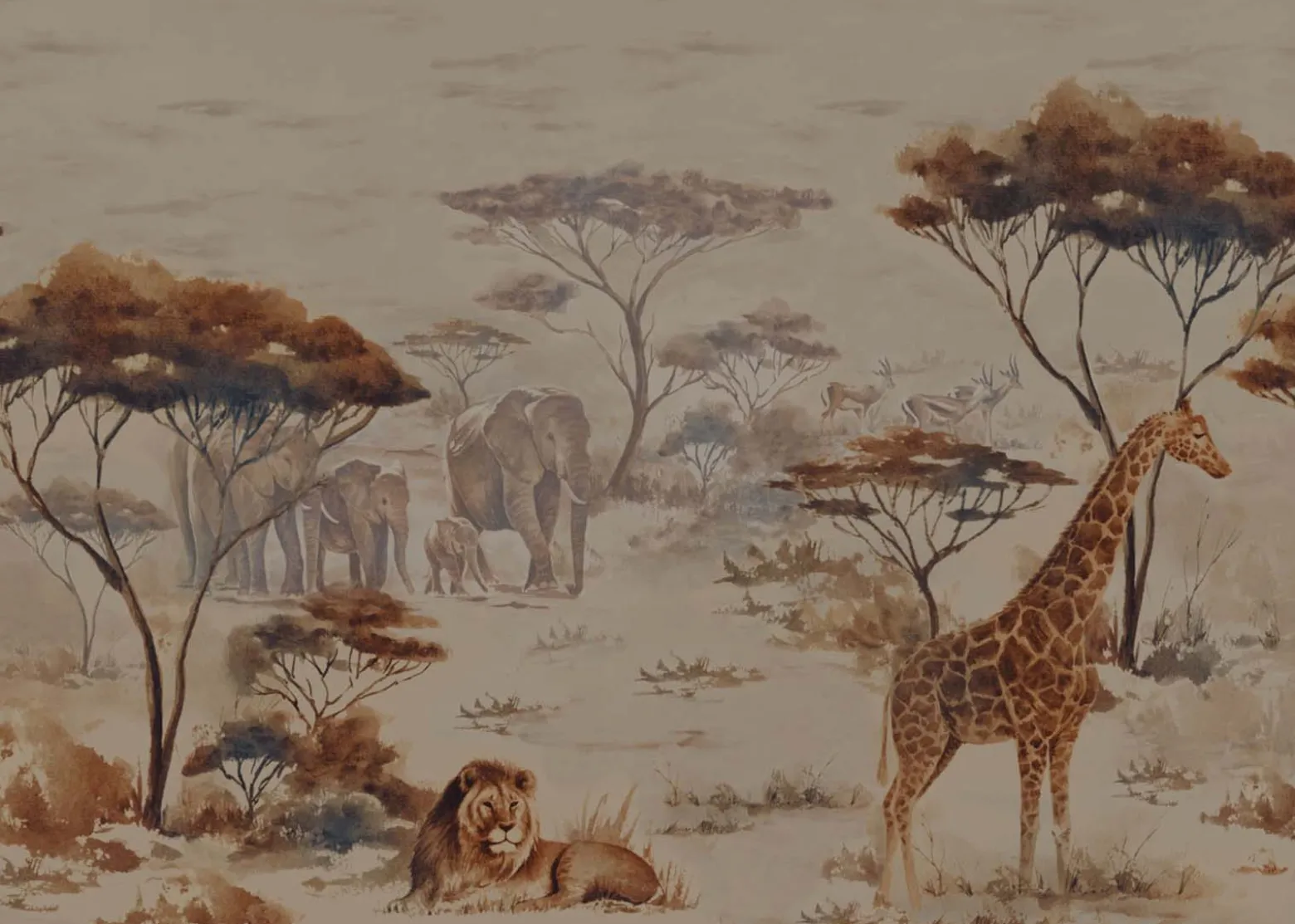 Rasch Fototapete Vlies Tiere Afrika Braun Grau 363692