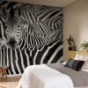 Rasch Fototapete Vlies Zebra Exotisch Schwarz Weiß