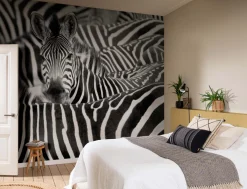 Rasch Fototapete Vlies Zebra Exotisch Schwarz Weiß