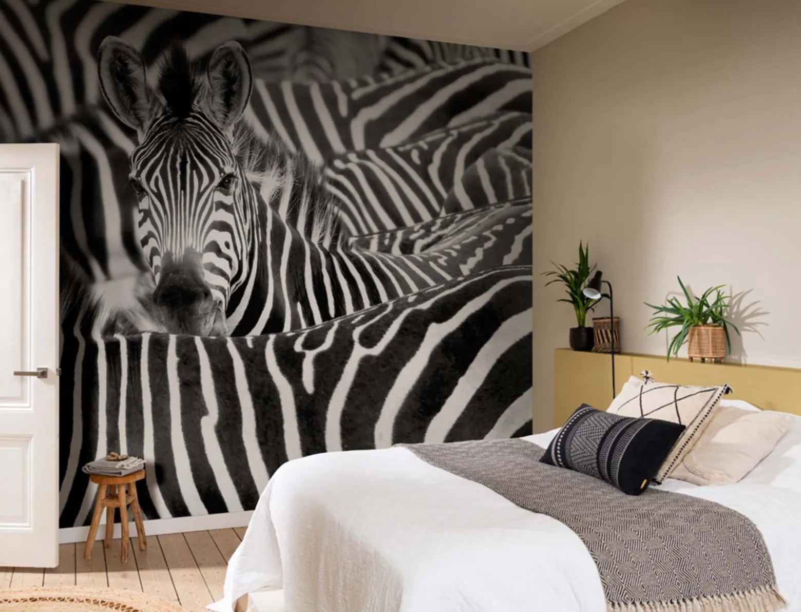 Rasch Fototapete Vlies Zebra Exotisch Schwarz Weiß