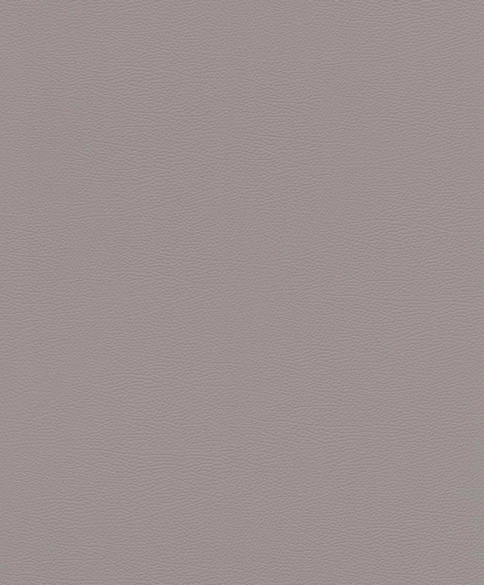 Rasch Vliestapete Uni Leder Optik Grau 752649