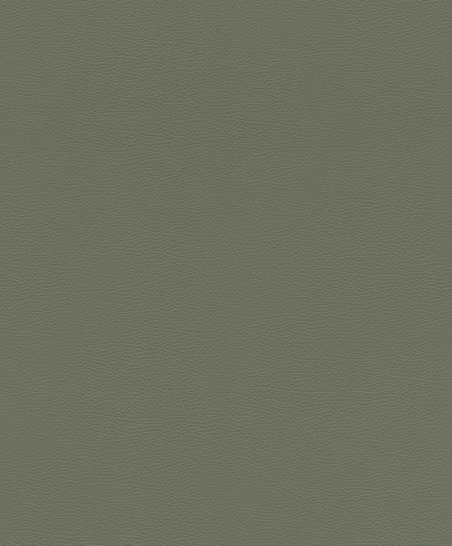 Rasch Vliestapete Uni Leder Optik Grün 752687