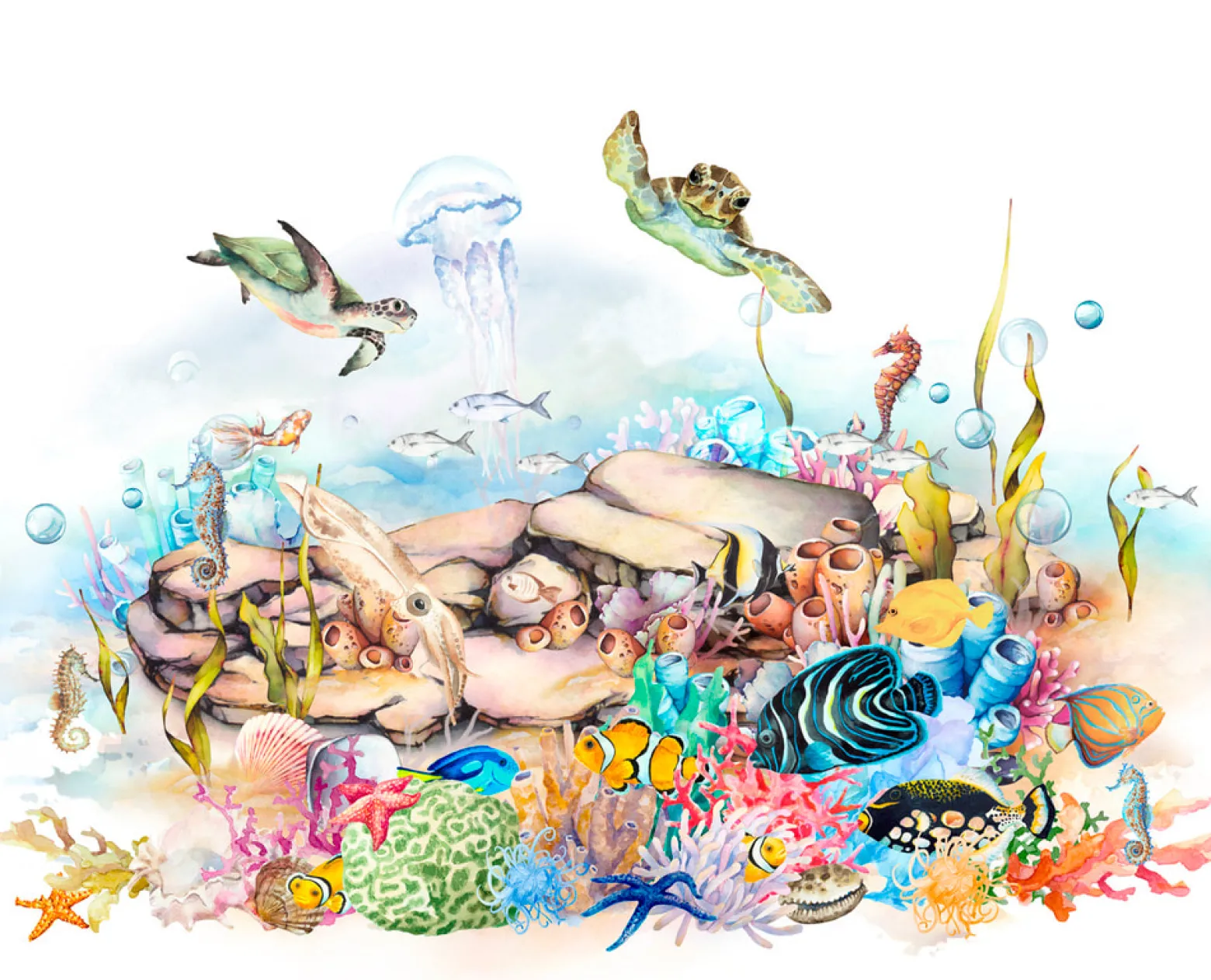 Rasch Wandbild Korallenriff Fische Weiß Blau 365030