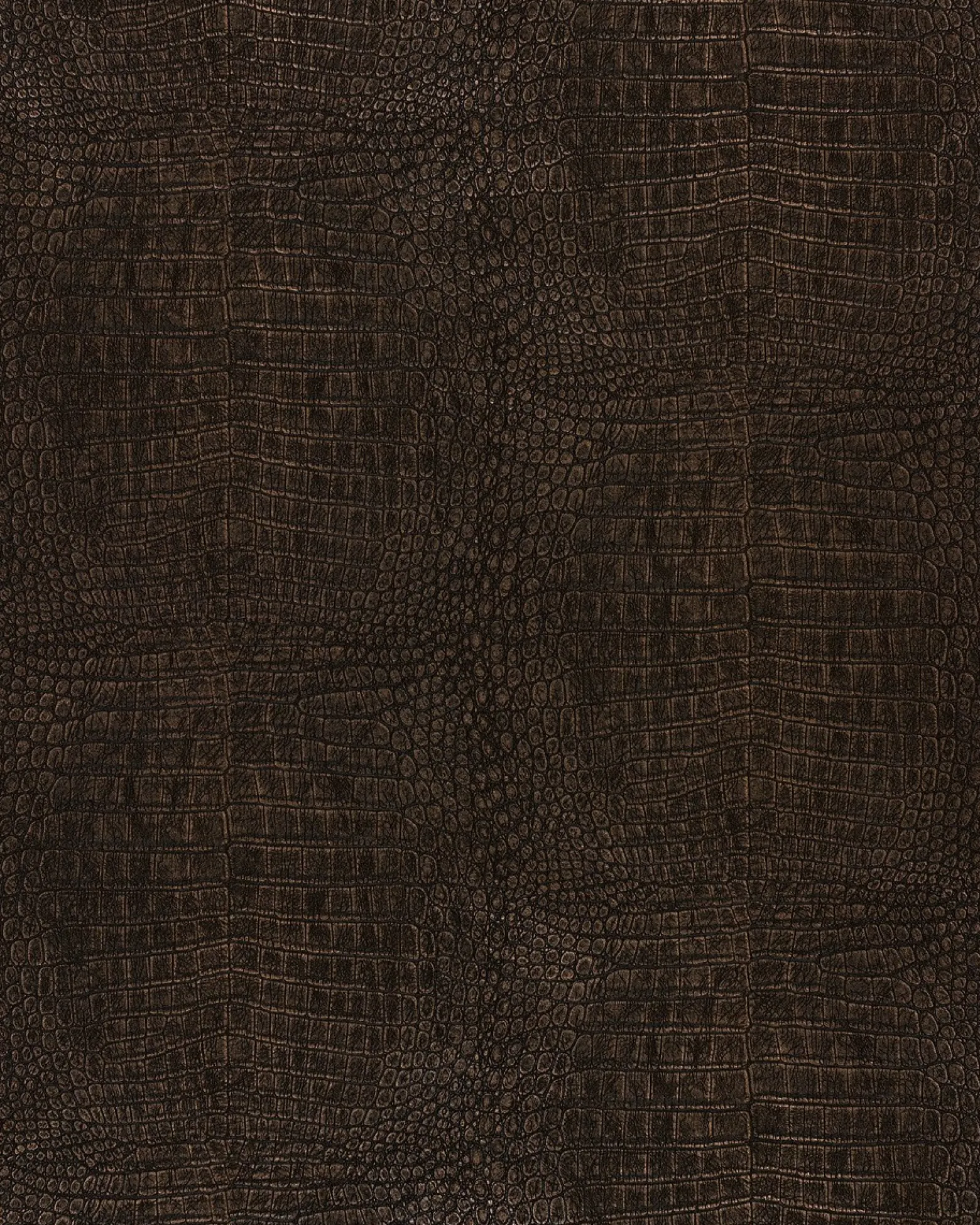 Safari Out Of Africa Vliestapete Krokodil braun metallic