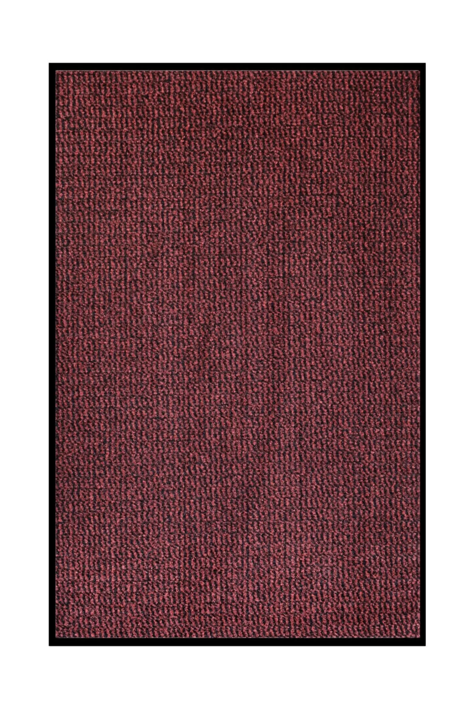 Schmutzfangmatte Basic Clean versch. Farben Größen