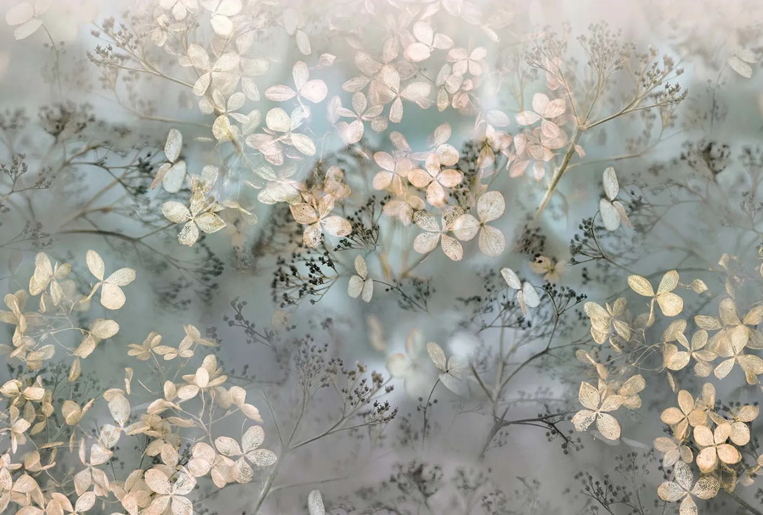 Tapete Blüten Blumen Guido Maria Kretschmer beige