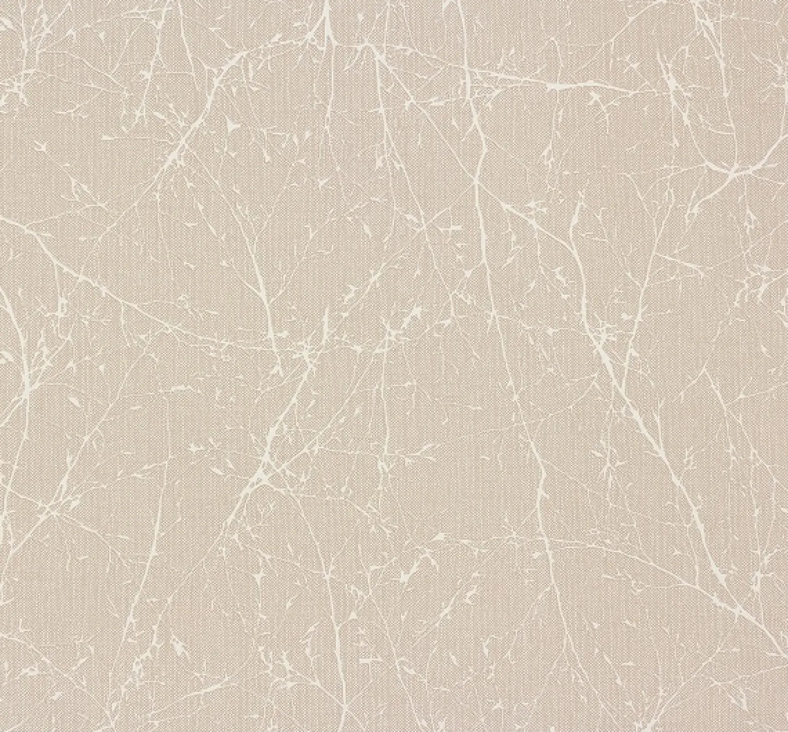 Tapete Elegance AS Creation Natur beige weiß 30507-4